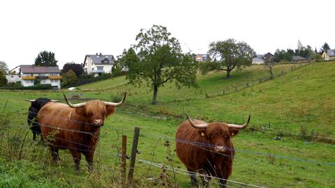 Wetterbilder hallo hessen