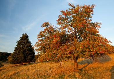 Wetterbilder