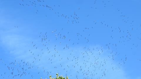 Wetterbilder hallo hessen