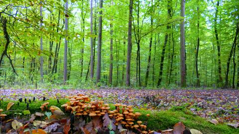hallo hessen Wetterbilder