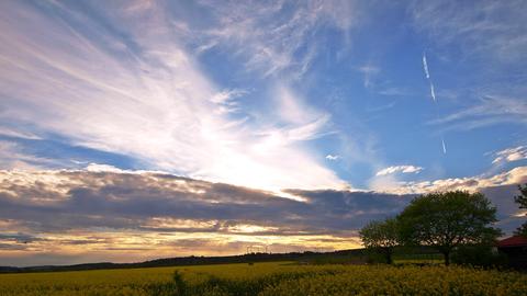 Wetterbilder
