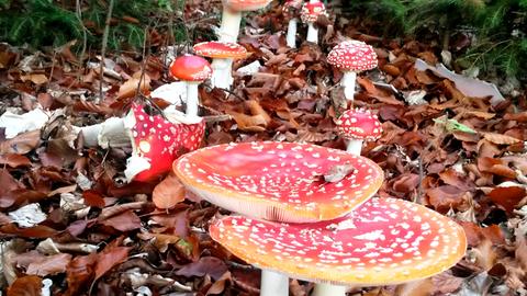 Wetterbilder hallo hessen