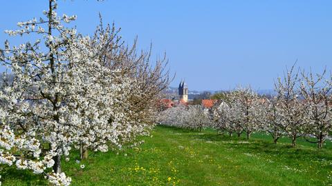 Wetterbilder