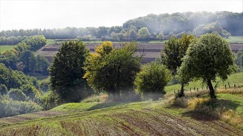 Wetterfoto