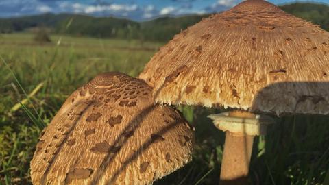 hallo hessen Wetterbilder