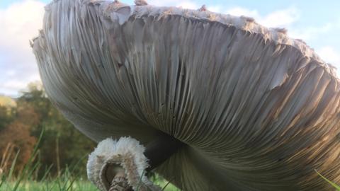 Wetterbilder hallo hessen