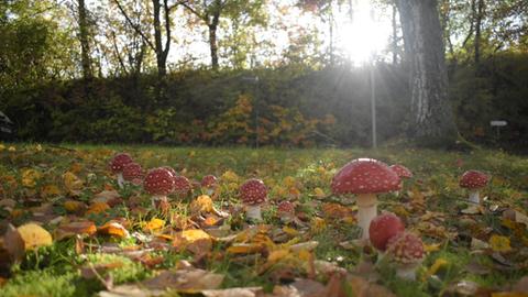 hallo hessen Wetterbilder