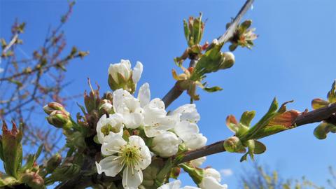 Wetterbilder