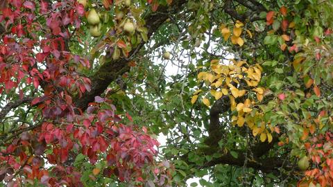 Wetterbilder