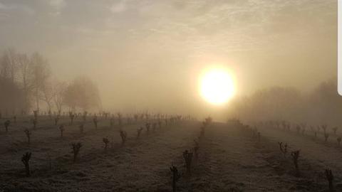 Wetterfoto Doris Wolf aus Gross Eichen Mücke