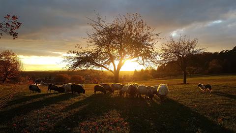Wetterbilder hallo hessen