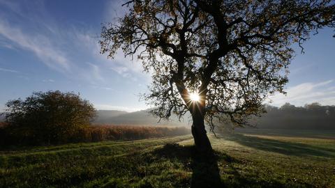 Wetterfotos hallo hessen