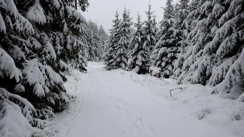 Wetterbilder