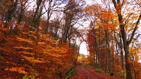 Wetterfotos hallo hessen