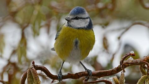 Wetterbilder