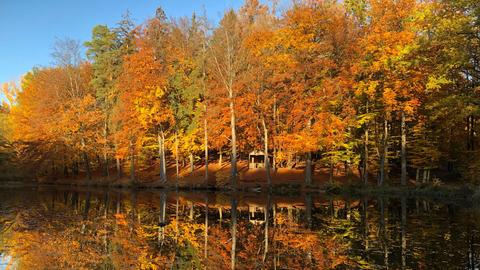 Wetterfotos hallo hessen