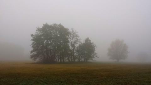 Wetterfotos hallo hessen