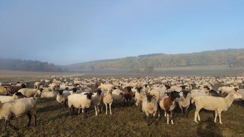Wetterfotos hallo hessen