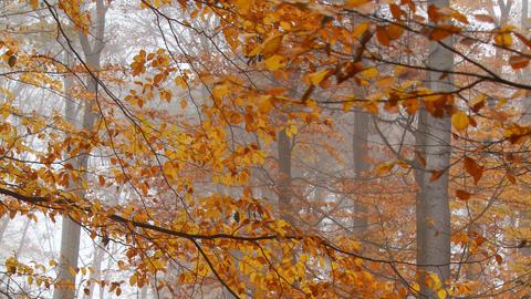 Wetterbilder hallo hessen
