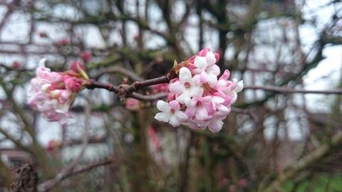 Wetterfotos Dezember 2019 (20.-27.)