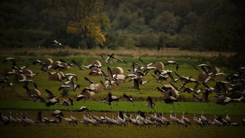 Wetterfotos Ende Oktober 2019