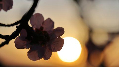 Wetterfotos hallo hessen - März 2020