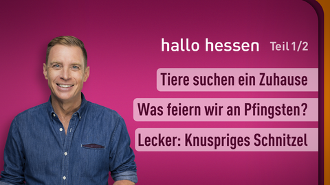 Themen sind: Tiere suchen ein Zuhause, Was feiern wir an Pfingsten?, Lecker: Knuspriges Schnitzel