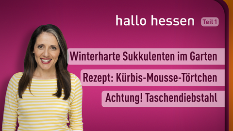 Themen sind: Winterharte Sukkulenten im Garten, Rezept: Kürbis-Mousse-Törtchen, Achtung! Taschendiebstahl