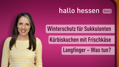 Themen sind: Winterschutz für Sukkulenten, Kürbiskuchen mit Frischkäse, Langfinger – Was tun?