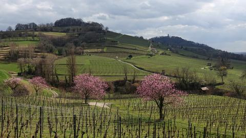 Wetterfotos hallo hessen - März 2020