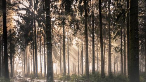 Wetterfotos vom März 2020