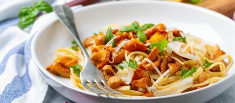 Pfifferlinge Linguine, Parmesan, Petersilie und grünem Basilikum in einem weißen Teller