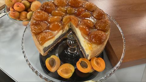 Aprikosen-Mohn-Kuchen mit Schmand