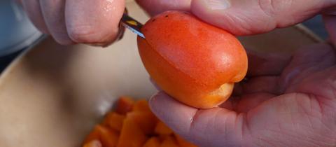 Eine Aprikose wird mit einem Messer halbiert