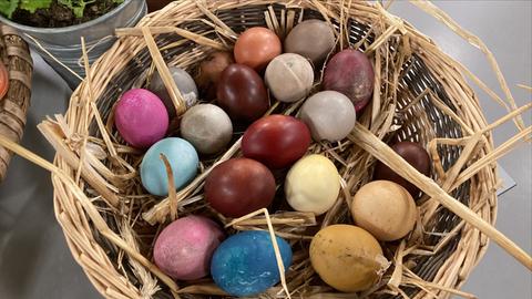 Eier färben mit natürlichen Farben
