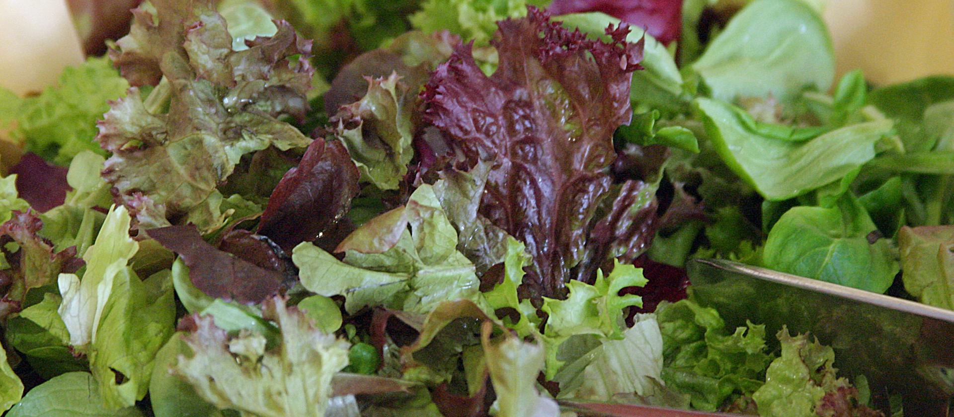 Rezept: Endiviensalat | hr-fernsehen.de | Rezepte