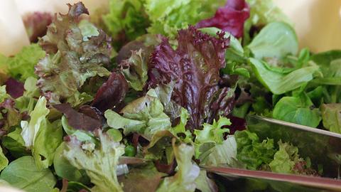 Endiviensalat