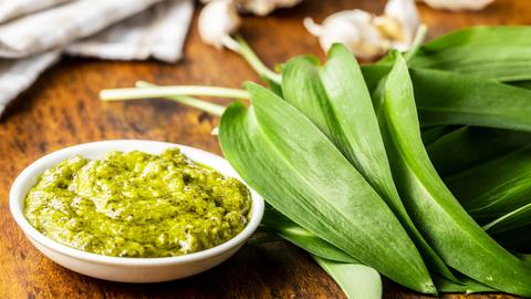 Bärlauchpesto mit Knoblauch und Bärlauch auf einem Tisch. 