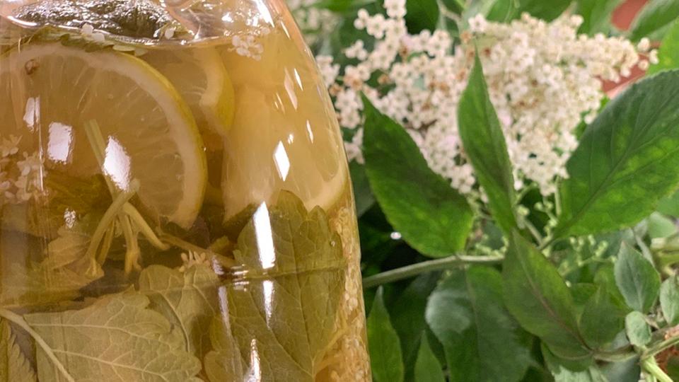 Rezept: Holunderblüten-Essig mit Limetten und Zitronenmelisse | hr ...