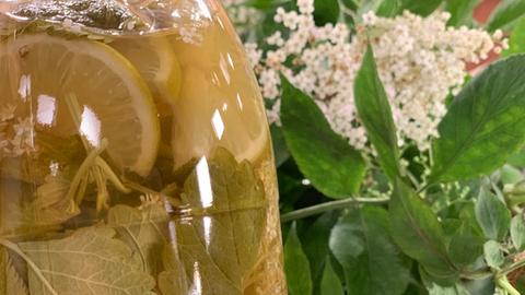 Holunderblüten-Essig mit Limetten und Zitronenmelisse 