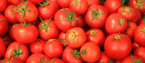 Tomaten