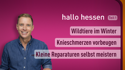 Moderator Jens Kölker sowie die Themen bei "hallo hessen" am 01.02.2023: WIldtiere im Winter, Knieschmerzen vorbeugen, Kleine Reparaturen selbst meistern