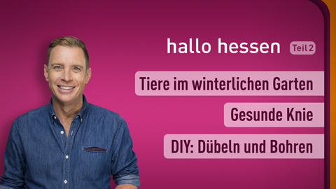 Moderator Jens Kölker sowie die Themen bei "hallo hessen" am 01.02.2023: Tiere im winterlichen Garten, Gesunde Knie, DIY: Dübeln und Bohren