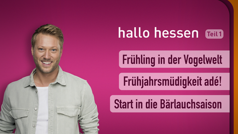 Moderator Jens Pflüger sowie die Themen bei "hallo hessen" am 07.03.2023: Frühling in der Vogelwelt, Frühjahrsmüdigkeit adé!, Start in die Bärlauchsaison