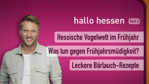 Moderator Jens Pflüger sowie die Themen bei "hallo hessen" am 07.03.2023: Hessische Vogelwelt im Frühjahr, Was tun gegen Frühjahrsmüdigkeit, Leckere Bärlauch-Rezepte