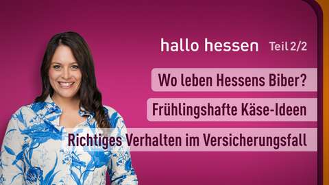 Moderatorin Leonie Koch sowie die Themen bei "hallo hessen" am 02.05.2023: Wo leben Hessens Biber?, Frühlingshafte Käse-Ideen, Richtiges Verhaöten im Versicherungsfall