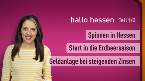 Moderatorin Selma Üsük sowie die Themen bei "hallo hessen" am 09.05.2023: Spinnen in Hessen, Start in die Erdbeersaison, Geldanlage bei steigenden Zinsen