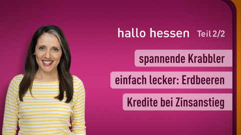 Moderatorin Selma Üsük sowie die Themen bei "hallo hessen" am 09.05.2023: spannende Krabbler, einfach lecker: Erdbeeren, Kredite bei Zinsanstieg