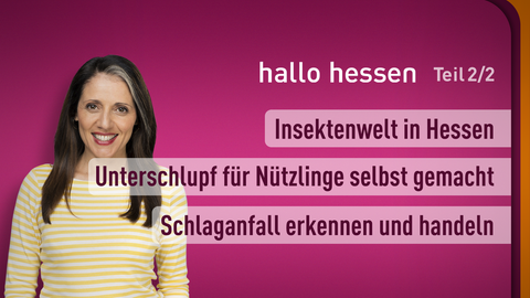 Moderatorin Selma Üsük sowie die Themen bei "hallo hessen" am 10.05.2023: Insektenwelt in Hessen, Unterschlupf für Nützlinge selbst gemacht, Schlaganfall erkennen und handeln