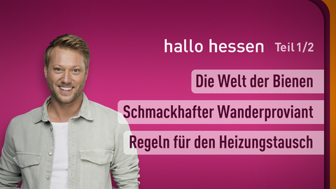 Moderator Jens Kölker sowie die Themen bei "hallo hessen" am 16.05.2023: Die Welten der Bienen, Schmackhafter Wanderproviant, Regeln für den Heizungstausch
